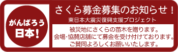 �����v���W�F�N�g